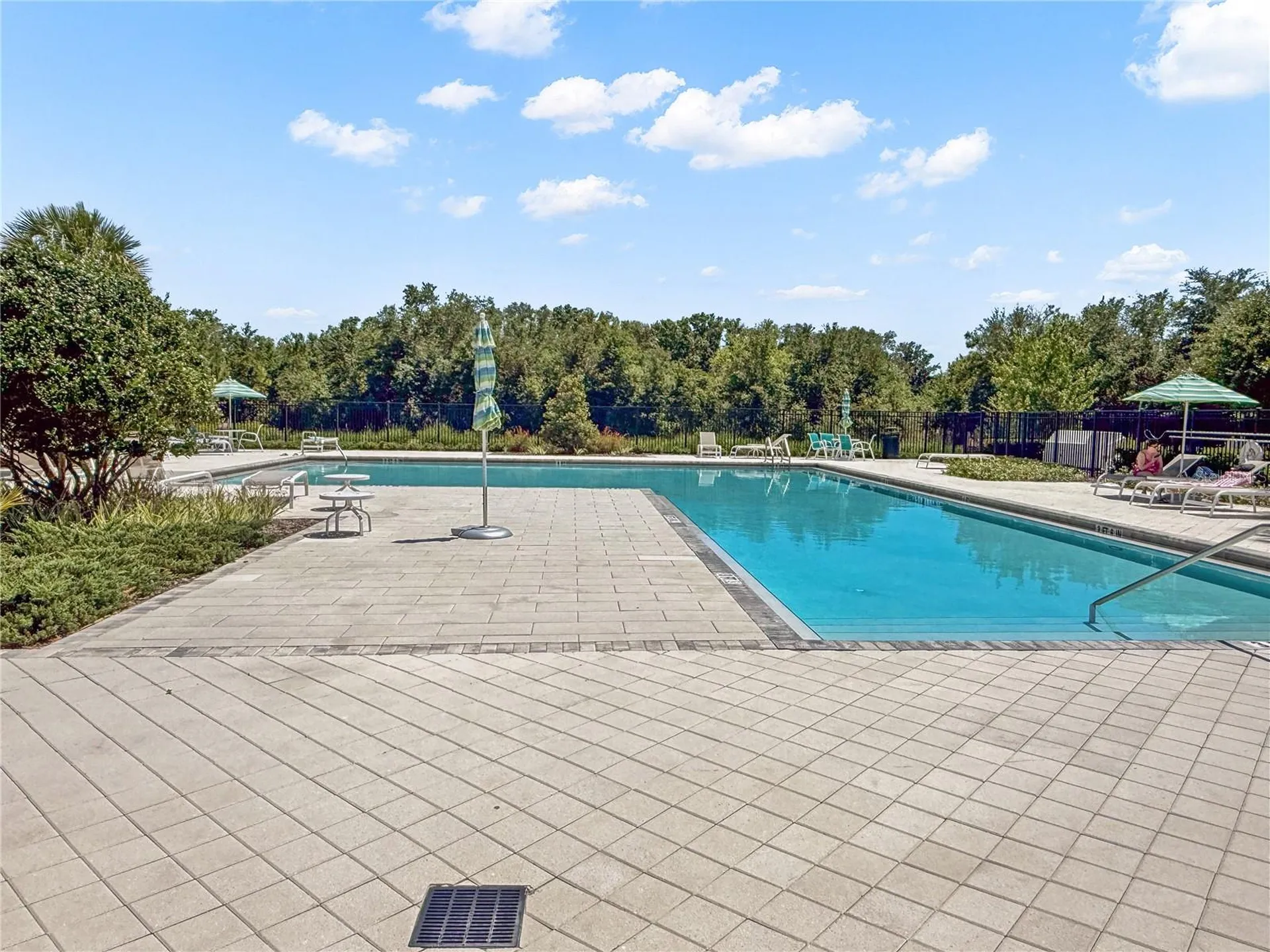 1295 White Fox Run Lutz FL 33549