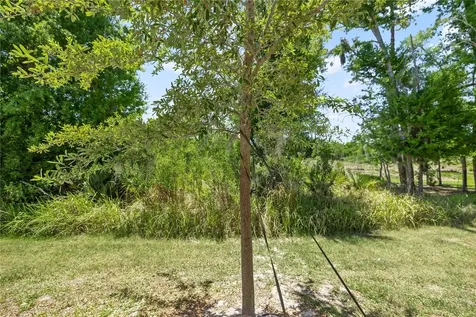 1295 White Fox Run Lutz FL 33549