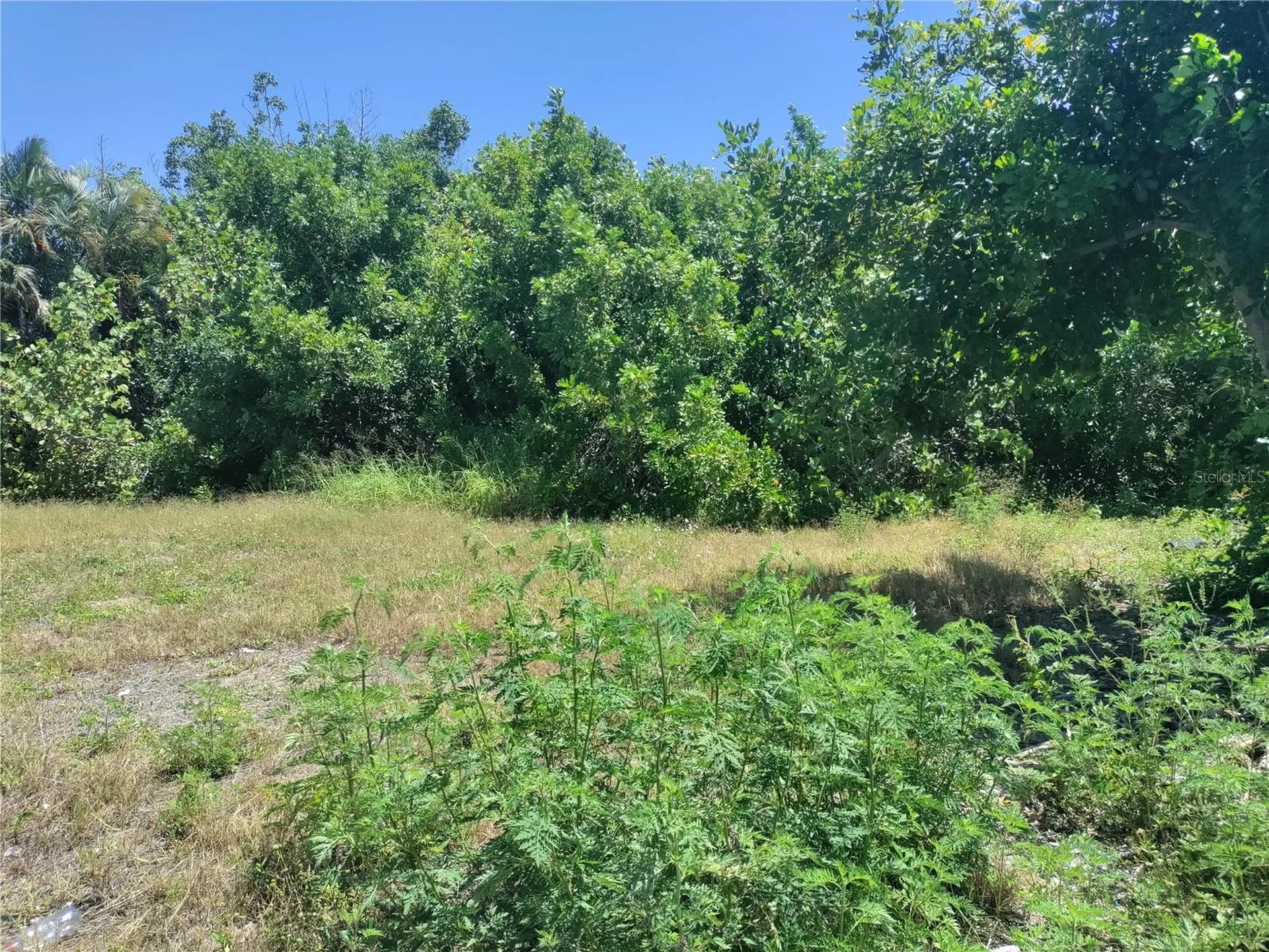 4134 Gardner Drive Port Charlotte FL 33952