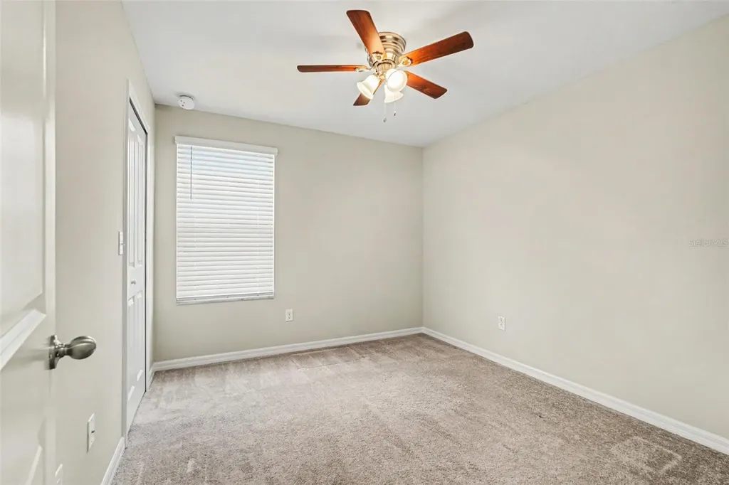 7421 French Marigold Avenue Tampa FL 33619