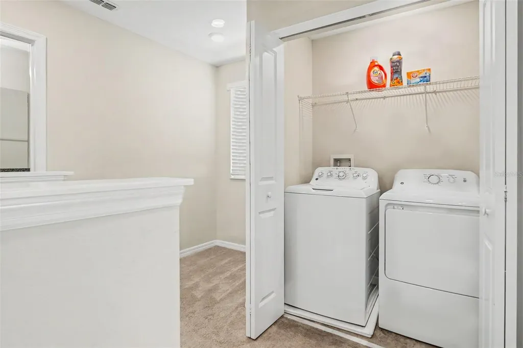 7421 French Marigold Avenue Tampa FL 33619