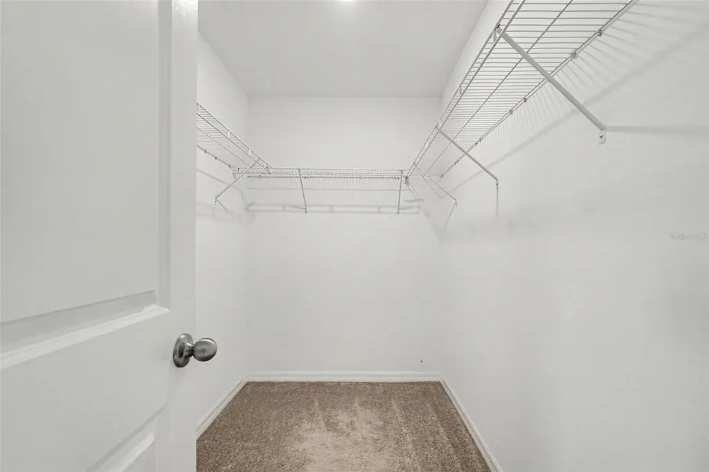 7421 French Marigold Avenue Tampa FL 33619