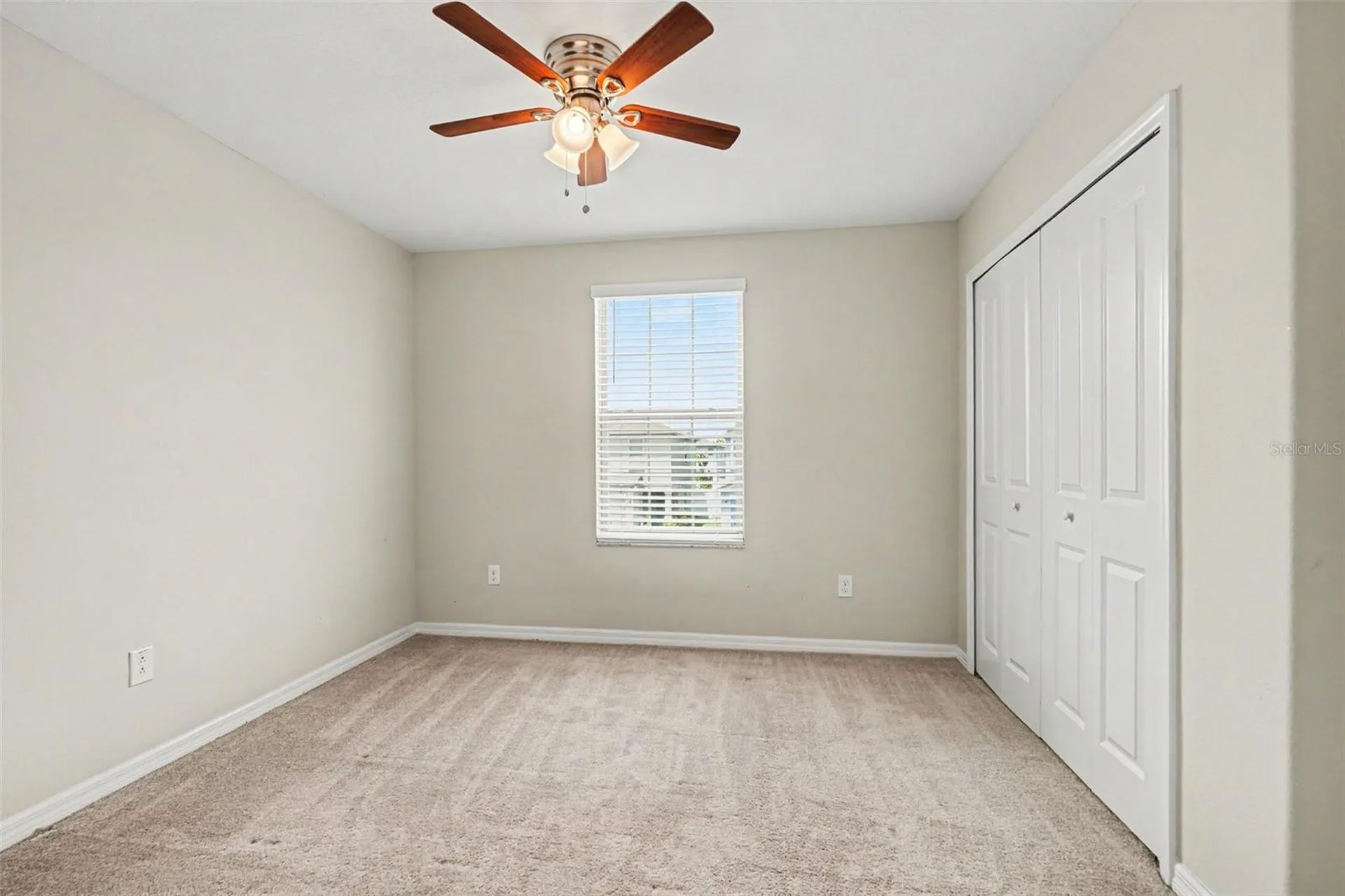 7421 French Marigold Avenue Tampa FL 33619