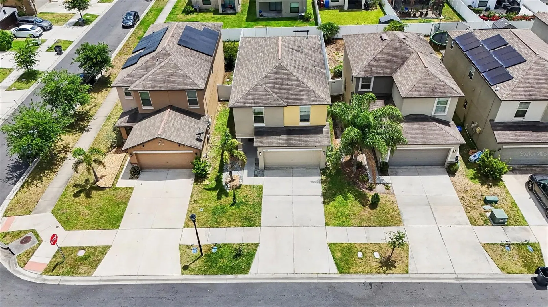 7421 French Marigold Avenue Tampa FL 33619