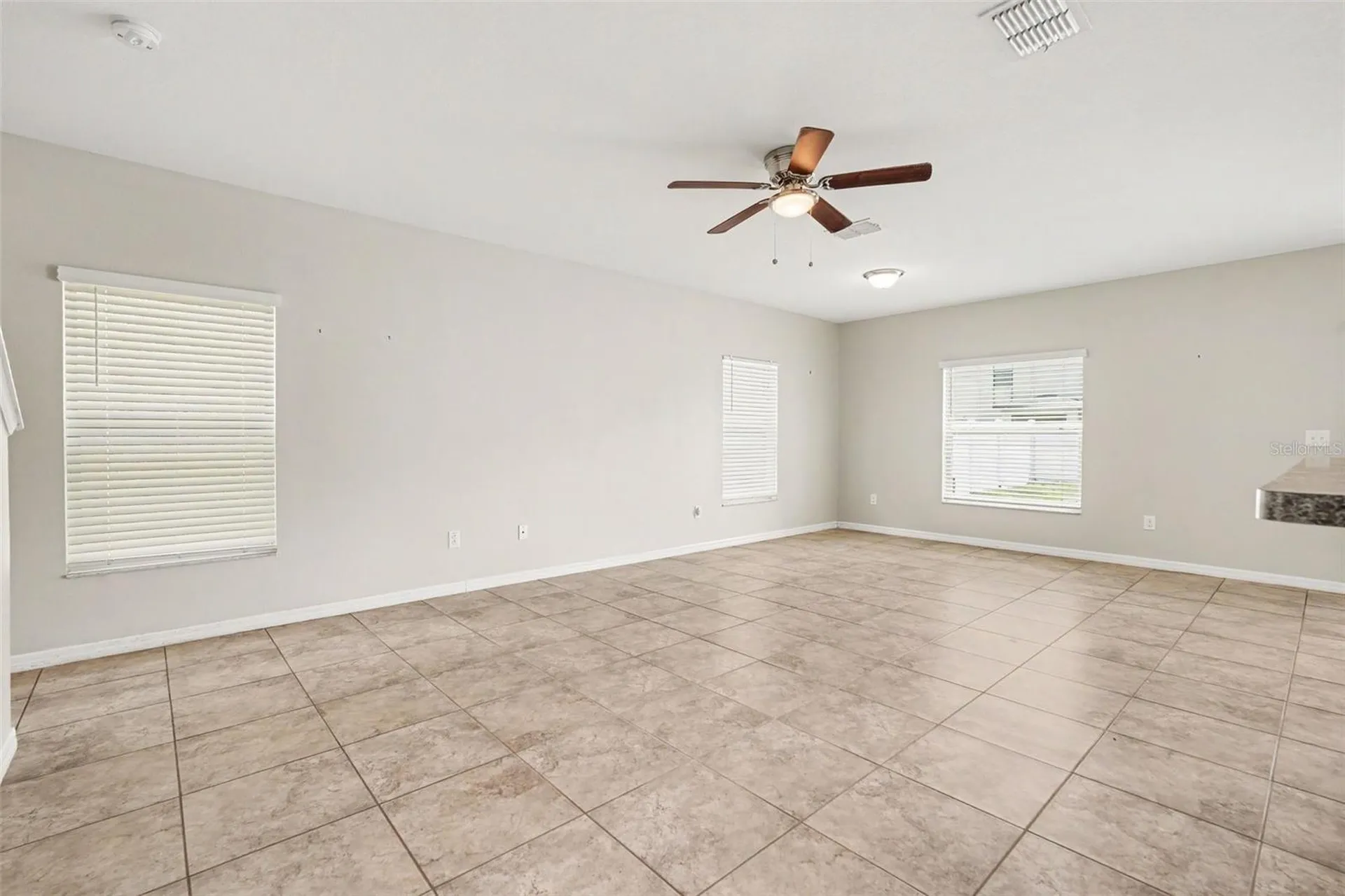 7421 French Marigold Avenue Tampa FL 33619