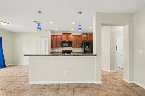 7421 French Marigold Avenue Tampa FL 33619