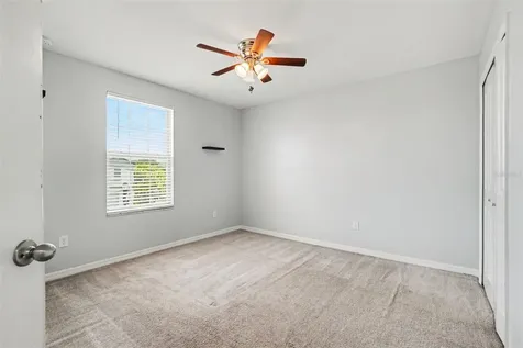 7421 French Marigold Avenue Tampa FL 33619