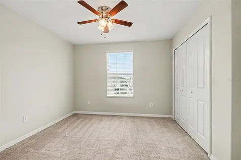 7421 French Marigold Avenue Tampa FL 33619