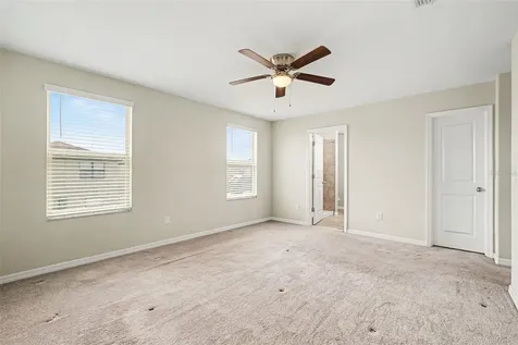 7421 French Marigold Avenue Tampa FL 33619