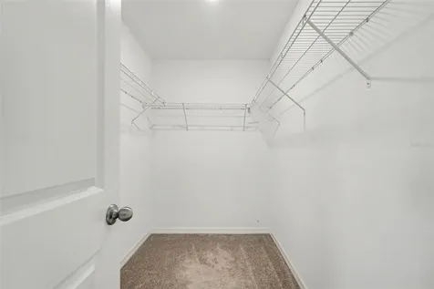 7421 French Marigold Avenue Tampa FL 33619