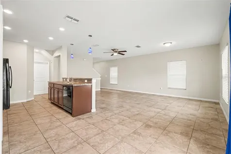 7421 French Marigold Avenue Tampa FL 33619