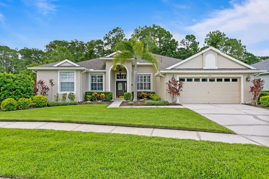 14511 Corkwood Drive Tampa FL 33626