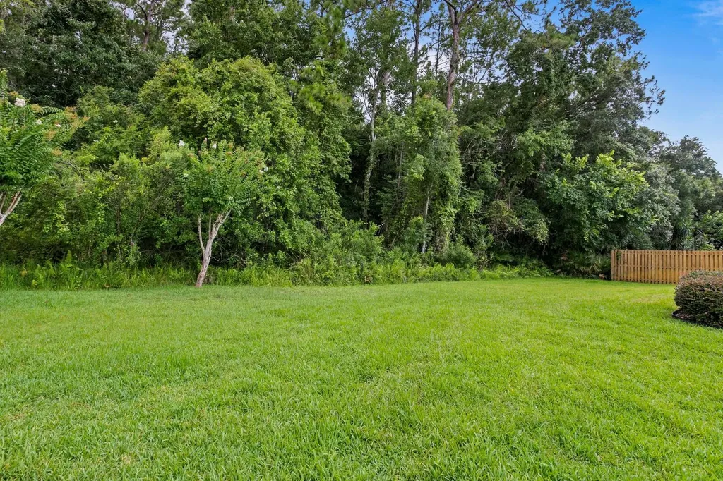 14511 Corkwood Drive Tampa FL 33626