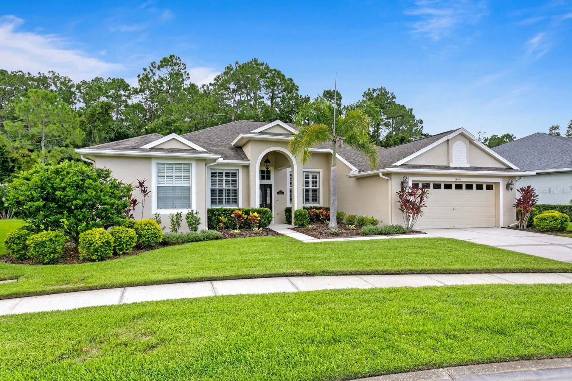 14511 Corkwood Drive Tampa FL 33626