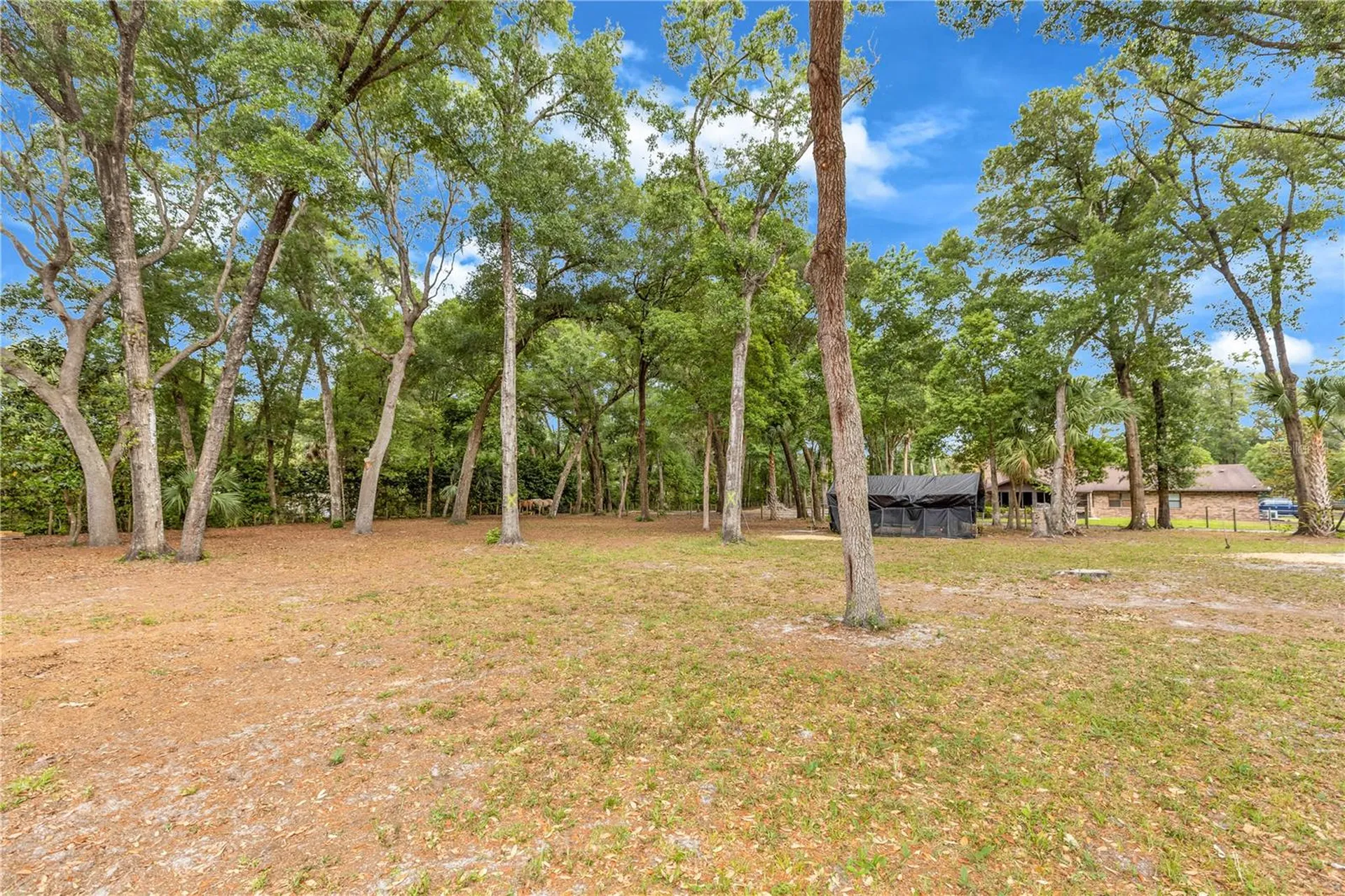 721 Mcgregor Road Deland FL 32720