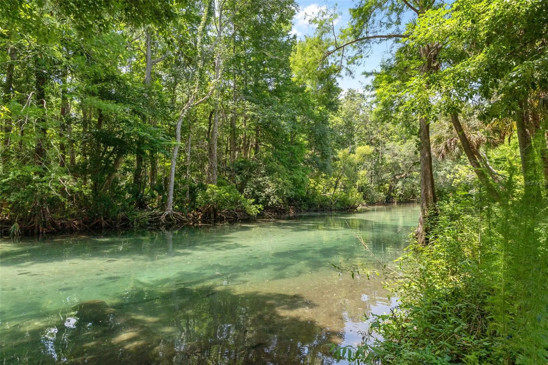 6762 E Richard Drive Weeki Wachee FL 34607