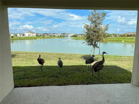 1548 Catbriar Way Davenport FL 33837