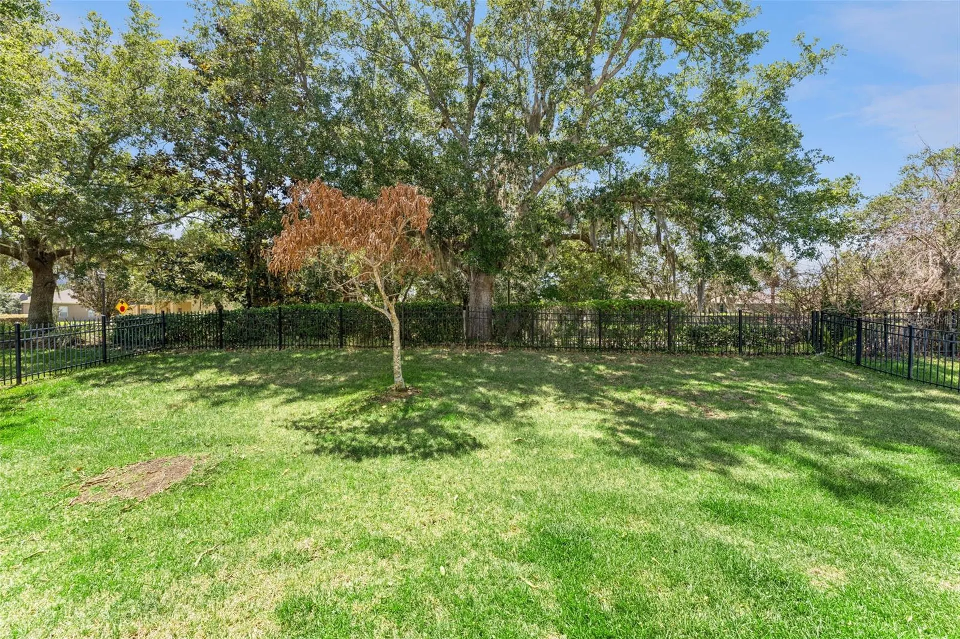 10125 Sandy Marsh Lane Orlando FL 32832