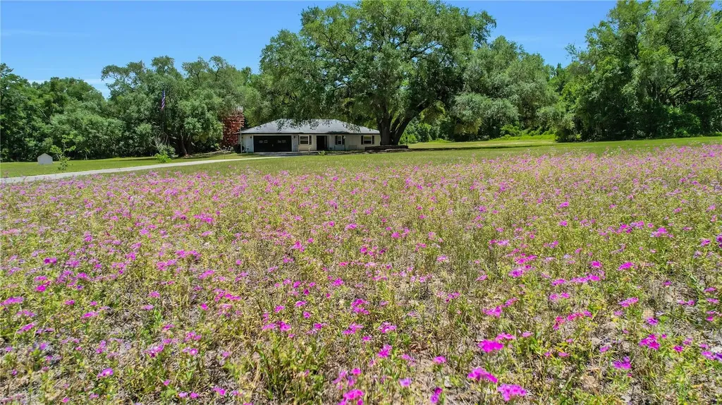 17373 SE 130th Avenue Weirsdale FL 32195