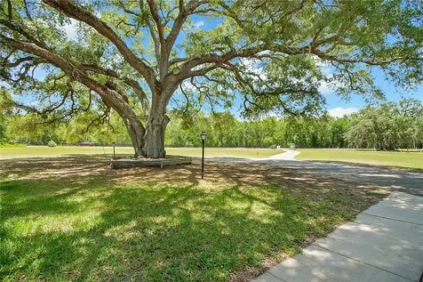 17373 SE 130th Avenue Weirsdale FL 32195