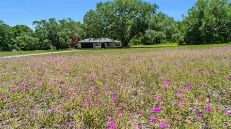 17373 SE 130th Avenue Weirsdale FL 32195