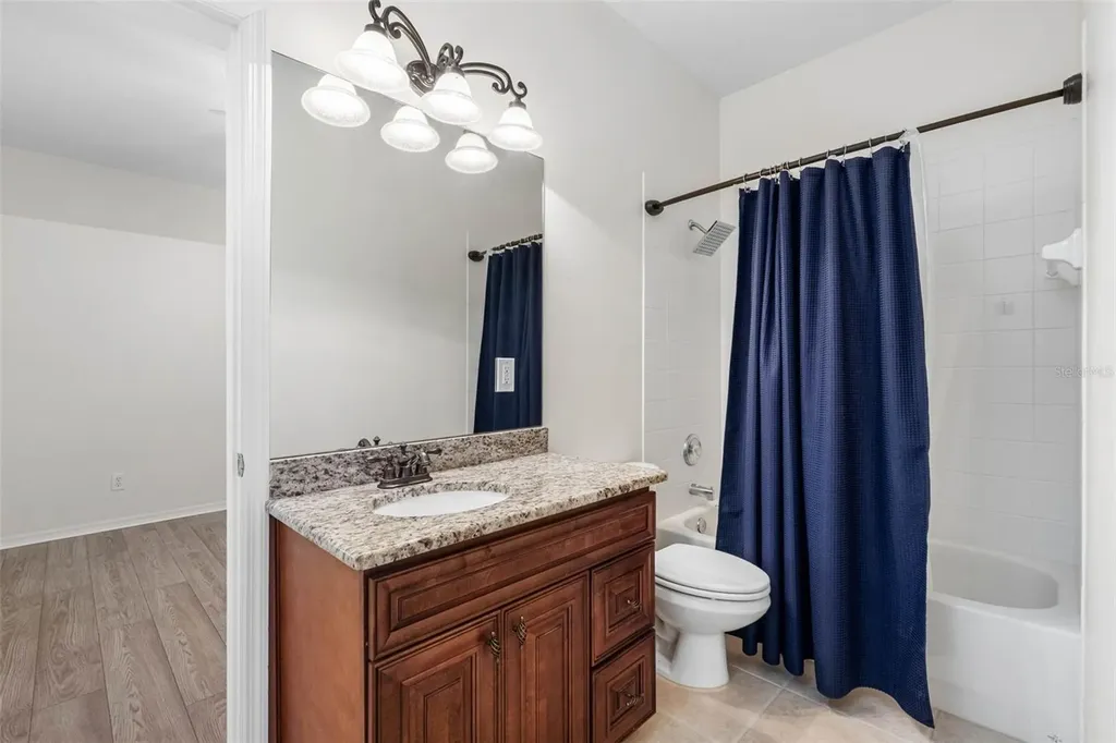 21107 Bircholm Court Land O Lakes FL 34637