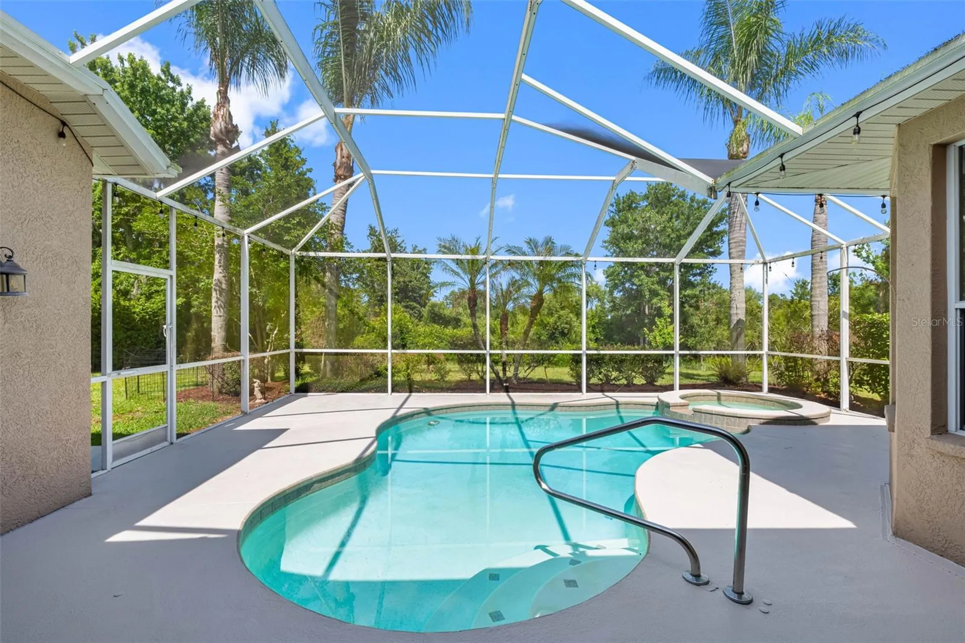 21107 Bircholm Court Land O Lakes FL 34637