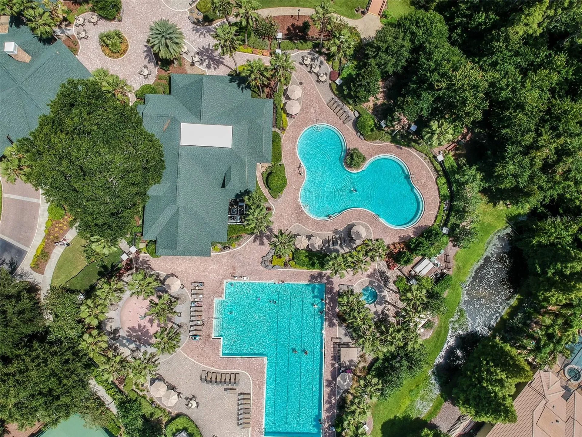 21107 Bircholm Court Land O Lakes FL 34637