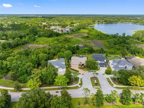 21107 Bircholm Court Land O Lakes FL 34637