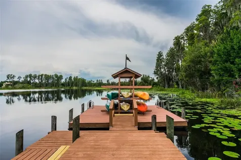 21107 Bircholm Court Land O Lakes FL 34637