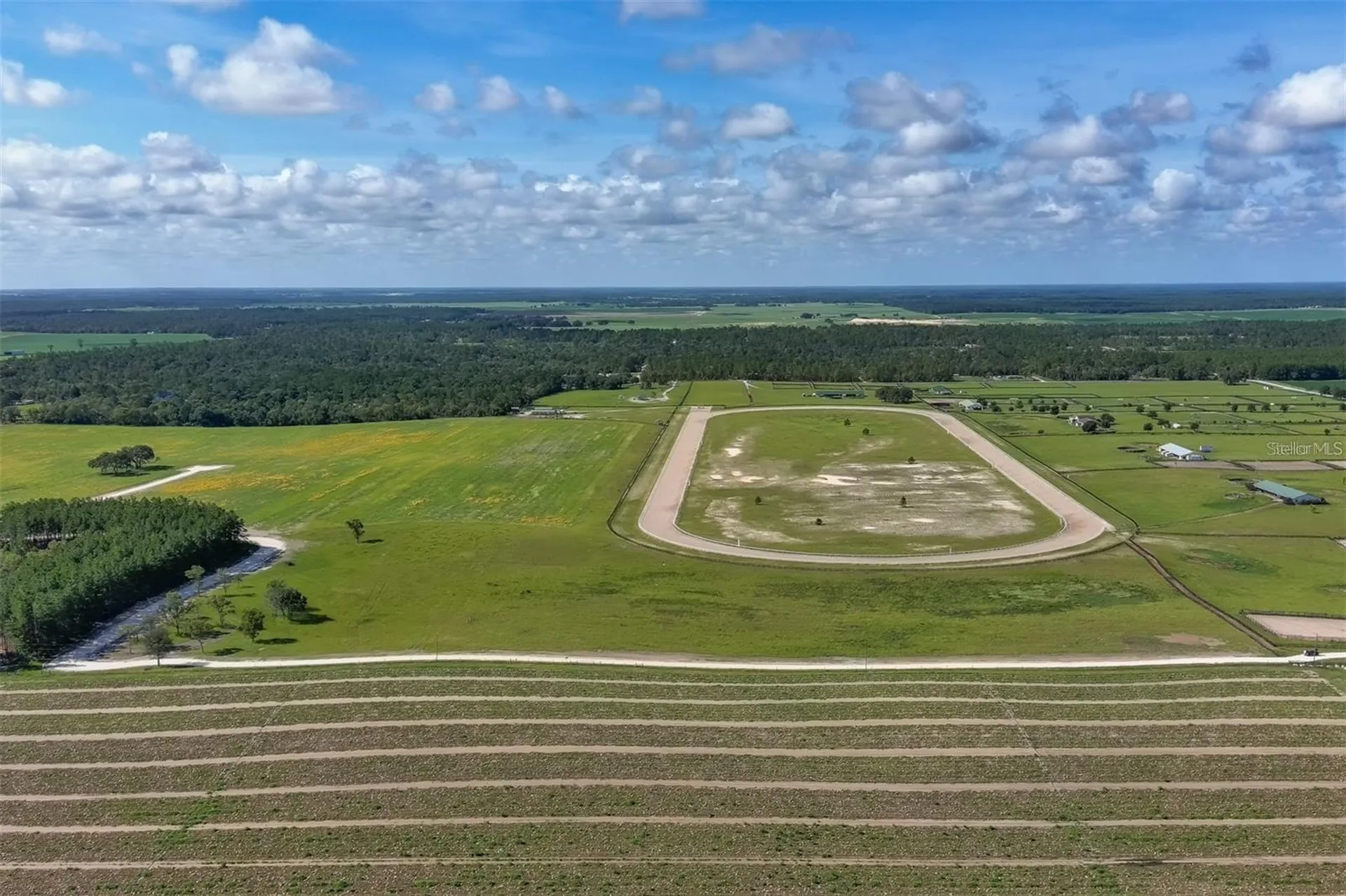 2351 NE 120 Avenue Williston FL 32696