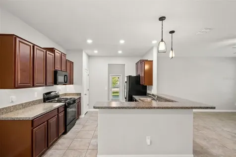 8751 Shady Pavillion Court Land O Lakes FL 34637