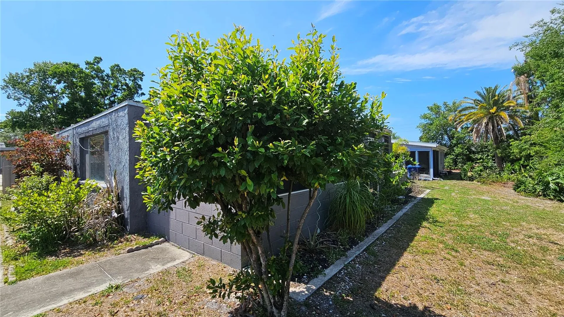 3442 Overland Drive Holiday FL 34691