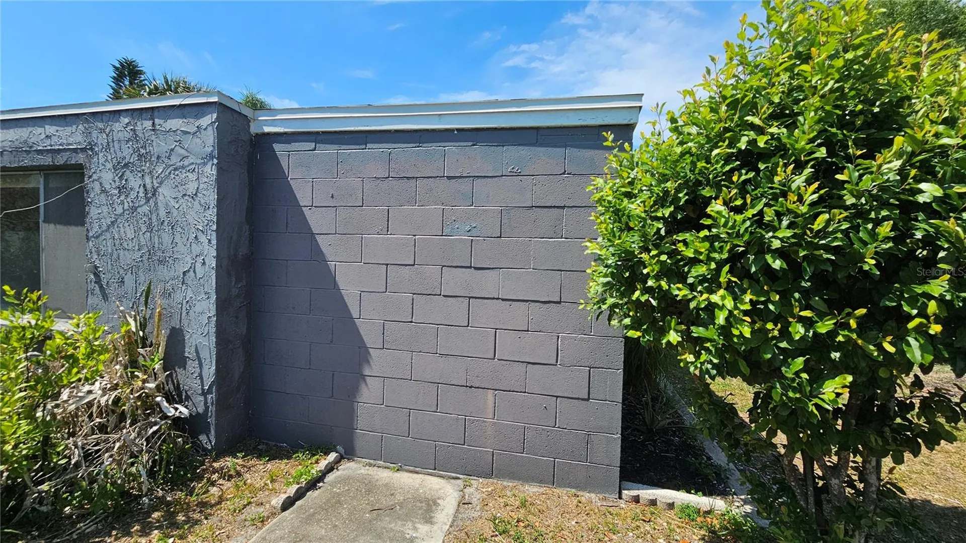 3442 Overland Drive Holiday FL 34691