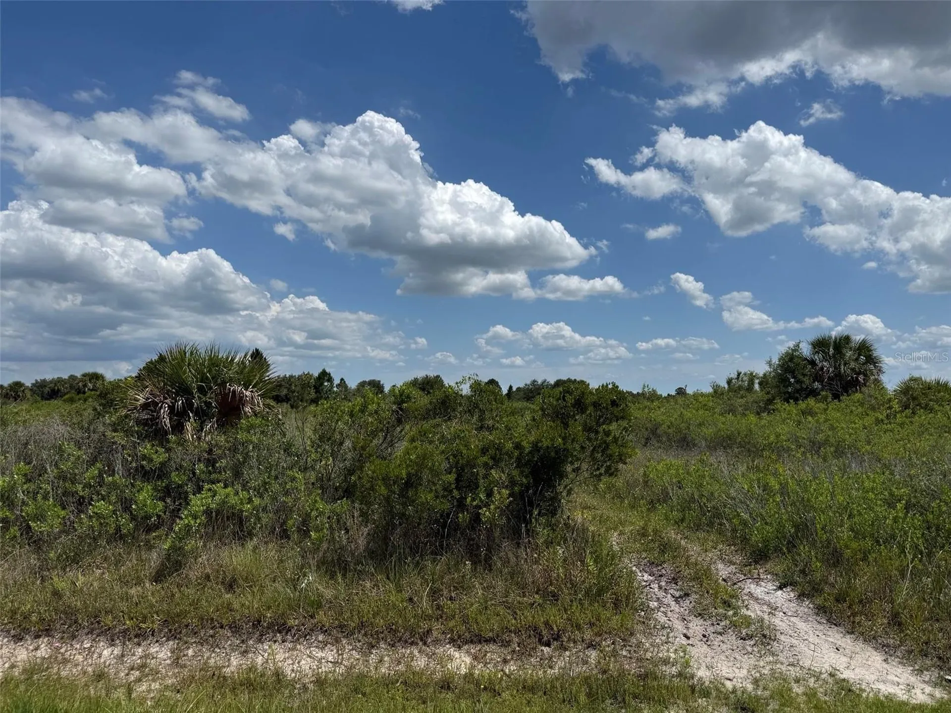 16162 NW 290th Street Okeechobee FL 34972