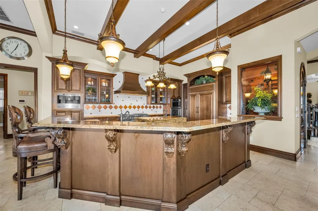10031 Milano Drive Trinity FL 34655