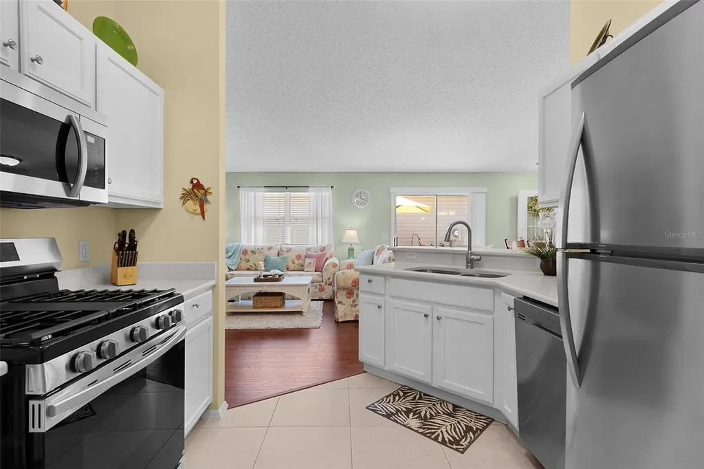 2437 Southern Oak Street The Villages FL 32162
