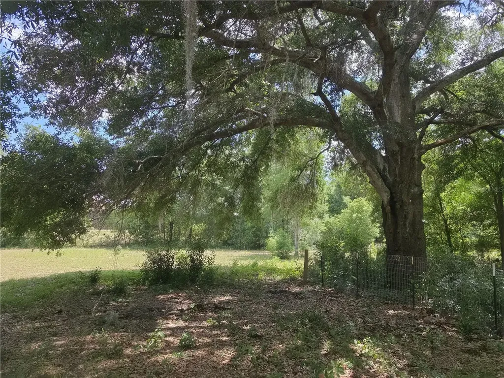 8552 SE 128th Lane Summerfield FL 34491