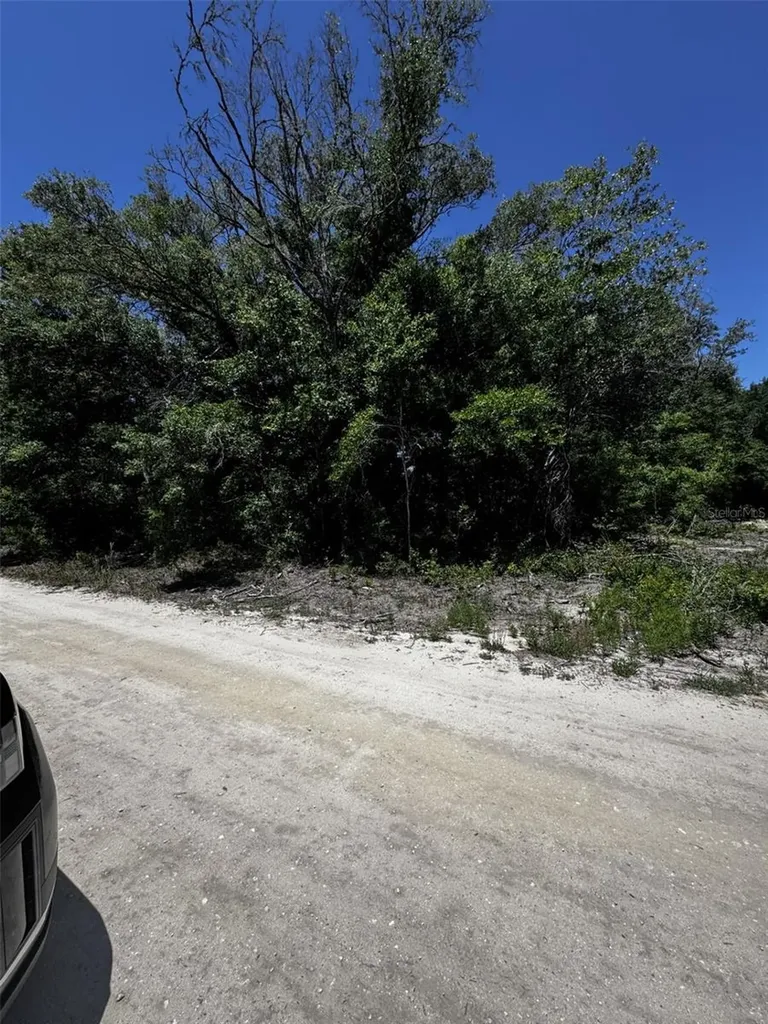 0 SW 104th Lane Dunnellon FL 34432