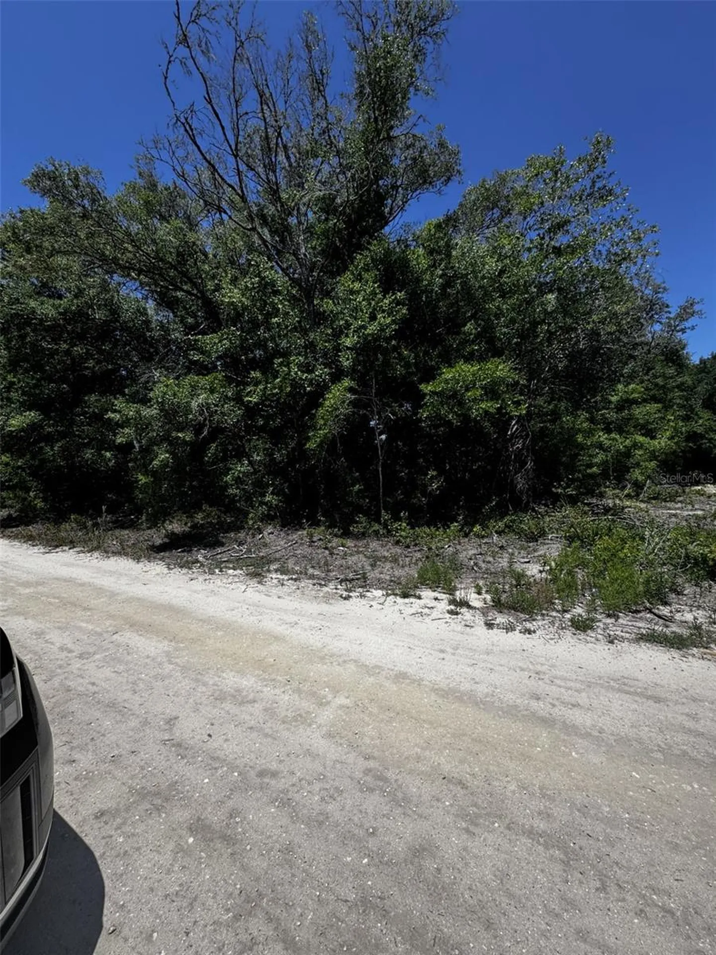 0 SW 104th Lane Dunnellon FL 34432