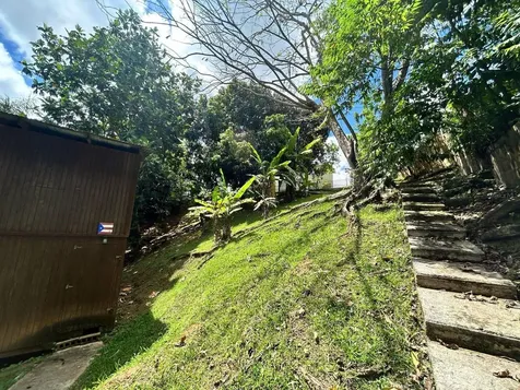 Lot 10 Street 1 Los Flamboyanes Sector Cañaboncito Wd Caguas PR 00725