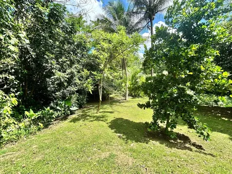 Lot 10 Street 1 Los Flamboyanes Sector Cañaboncito Wd Caguas PR 00725