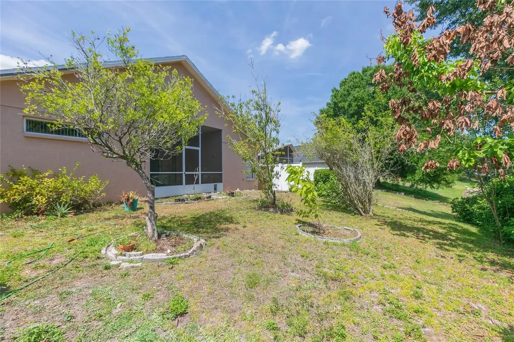 22704 Roderick Drive Land O Lakes FL 34639