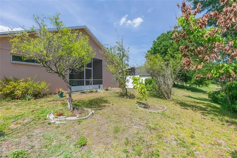22704 Roderick Drive Land O Lakes FL 34639