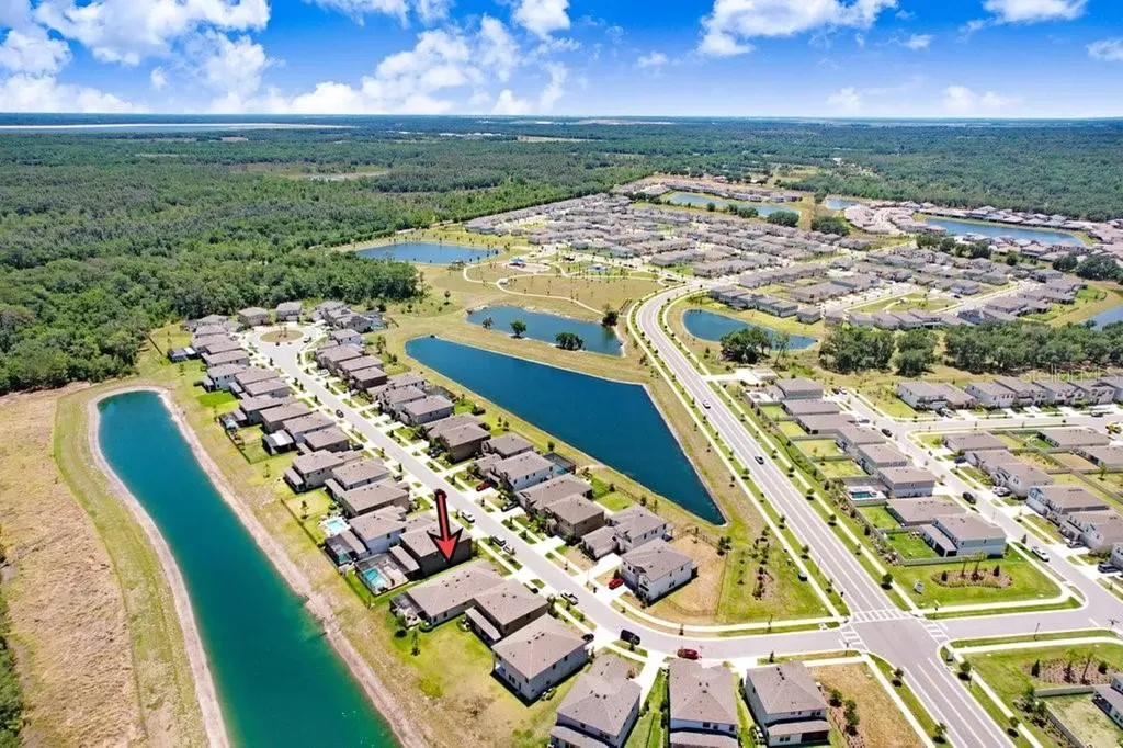 14828 Paddock Pond Avenue Lithia FL 33547