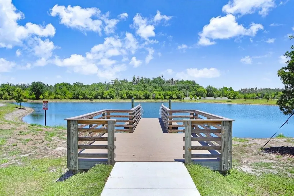 14828 Paddock Pond Avenue Lithia FL 33547