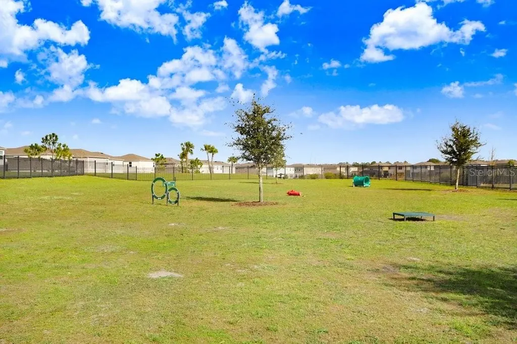14828 Paddock Pond Avenue Lithia FL 33547