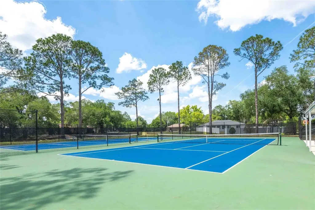 28310 Tanglewood Drive Wesley Chapel FL 33543