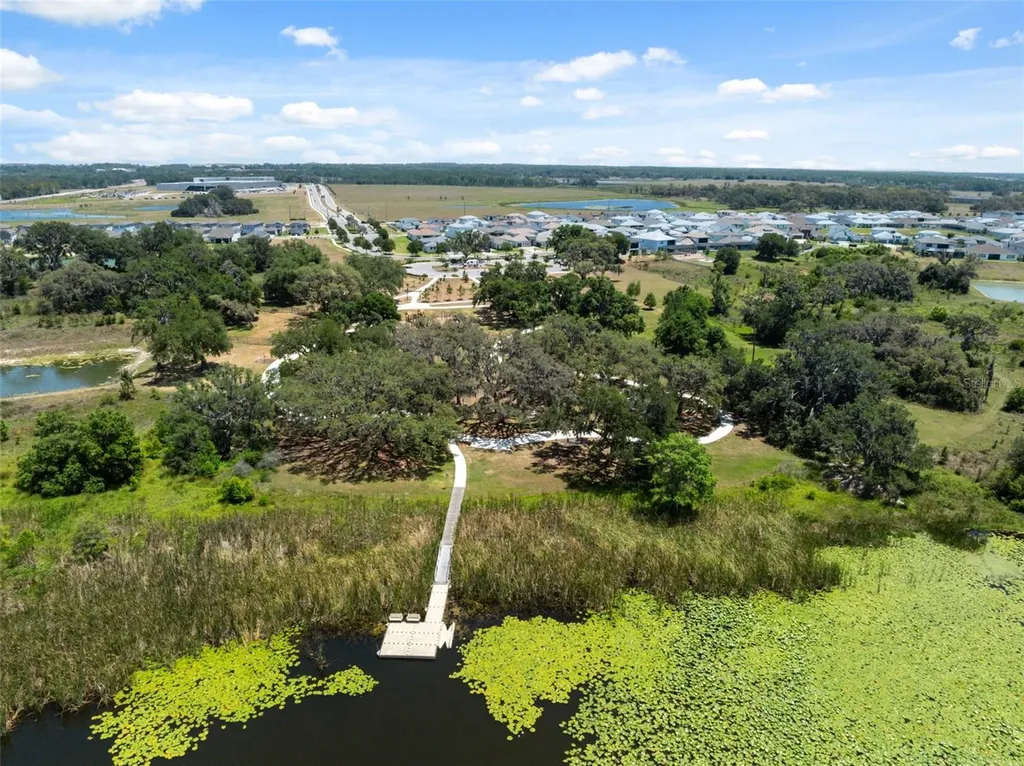 31555 Blue Passing Loop Wesley Chapel FL 33545