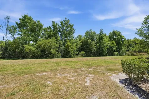 31555 Blue Passing Loop Wesley Chapel FL 33545